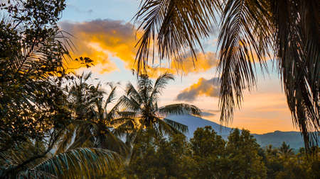 Beautiful natural scenery of tropical countryside on the island of Baliの写真素材