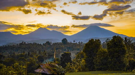 Beautiful natural scenery of tropical countryside on the island of Bali