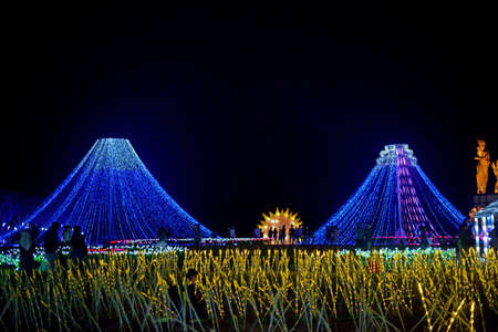View of light flowers during a light festival in Bali, Indonesiaの写真素材