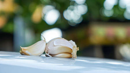 Close up of garlic and onions