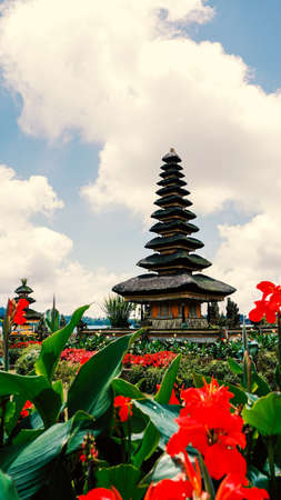 Natural landscape in Baliの写真素材