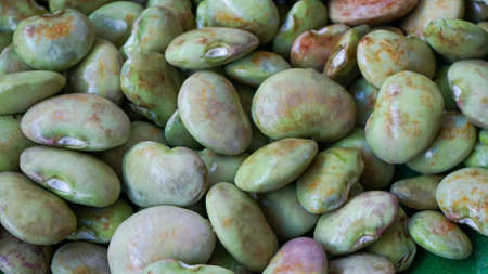 Close up of fresh raw vegetablesの写真素材