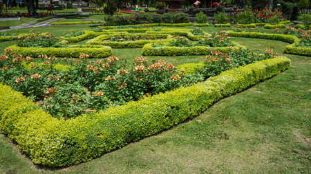 Tropical countryside landscape in the morningの写真素材
