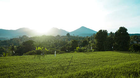 Tropical countryside landscape in the morningの写真素材