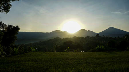 Tropical countryside landscape in the morningの写真素材