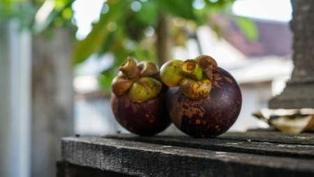 Close up of the mangosteen fruit on the tableの写真素材