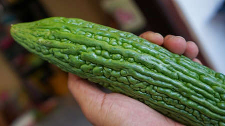 Close up of tropical fruit on the tableの写真素材