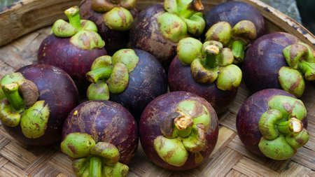 Close up of the mangosteen fruit on the tableの写真素材