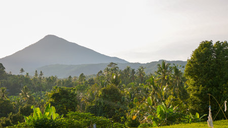 Landscape Beautiful view of tropical countryside in the morningの写真素材