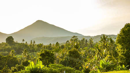 Landscape Beautiful view of tropical countryside in the morningの写真素材