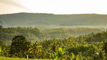 Landscape Beautiful view of tropical countryside in the morningの写真素材