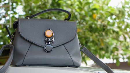 Close up of women's leather bagの写真素材