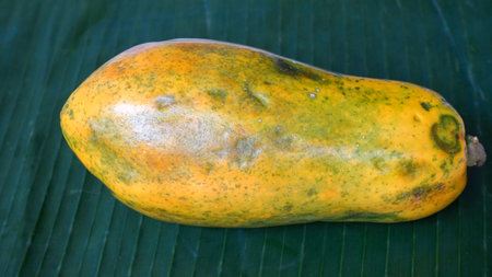 Close up of fruits and vegetables on the tableの写真素材