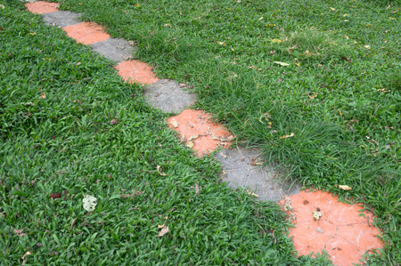 Concrete pathway on green grass in the public park. Walkway in the park.