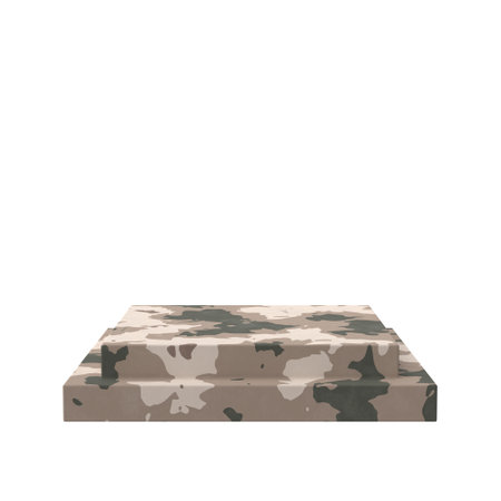 Product display with camouflage texture. 3D illustration.の写真素材