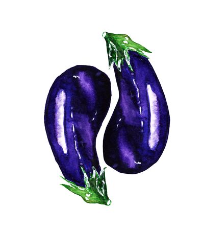 Fresh eggplant with leaves on white background. Hand-drawn watercolor isolated vegetable. Hand-painted realistic illustration. Vintage design eco natural food. Dark blue aubergine.の写真素材