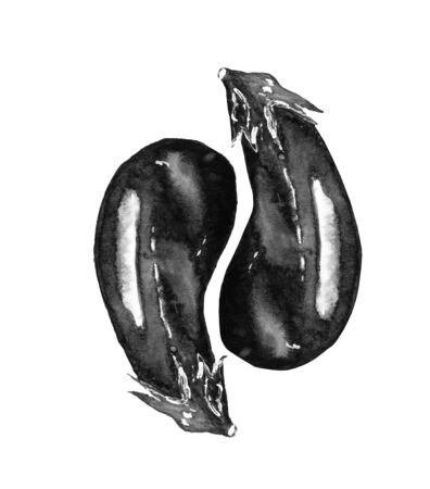 Fresh eggplant with leaves on white background. Hand-drawn watercolor isolated vegetable. Hand-painted realistic illustration. Vintage design eco natural food. Dark blue aubergine.の写真素材