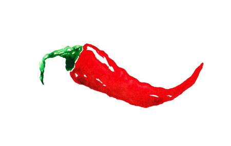 Fresh spicy pepper with leaves on white background. Hand-drawn watercolor isolated vegetable. Hand-painted realistic spice illustration. Vintage design eco natural food. Watercolor red chili pepperの写真素材