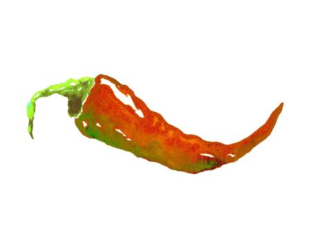 Fresh spicy pepper with leaves on white background. Hand-drawn watercolor isolated vegetable. Hand-painted realistic spice illustration. Vintage design eco natural food. Watercolor chili pepper.の写真素材