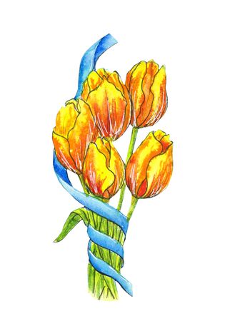 watercolor painting tulip flower. A tender blossom on a white background. Hand-painted aquarelle floral poster. Mother's Day, wedding, birthday, Easter, Valentine's Day, Summer, 8 marchの写真素材