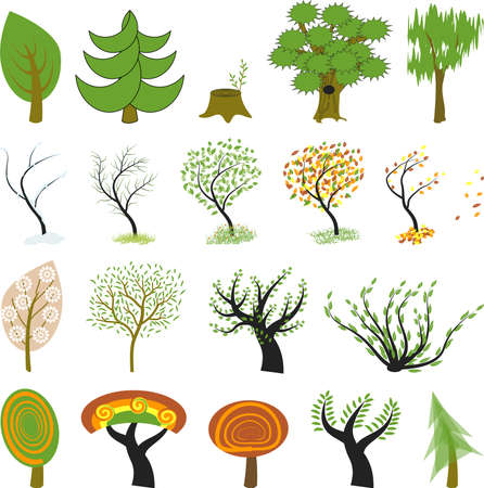 19 different kinds of tree include green trees, cartoon tree, Sakura tree, bush, and other. One tree is presented in different seasons: winter, spring, summer, autumn.のイラスト素材