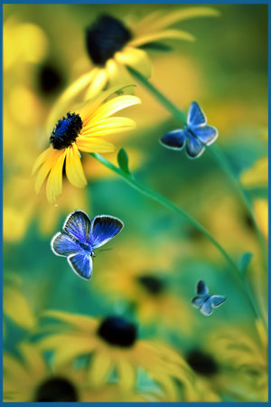 Violet butterflies and yellow bright summer flowers in a fairy garden. macro artistic image.の写真素材