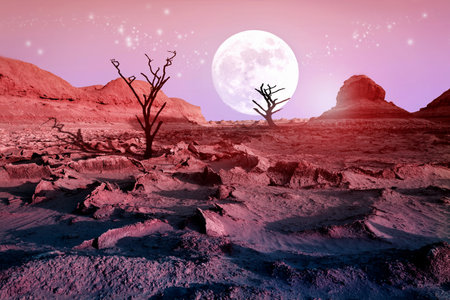 Lonely dry trees in the desert against a beautiful pink sky and a full moon. moonlight in the desert. Artistic natural image. Alien Planet Concept.の写真素材