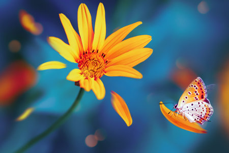 Bright butterfly and yellow flowers in a fairy garden. Summer wonderland. Fantastic image.の写真素材