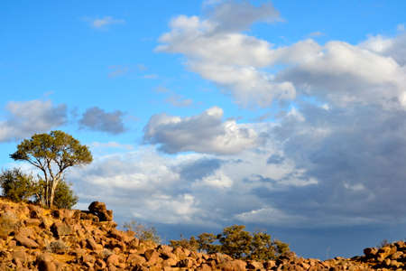 Botswana Landscapeの写真素材