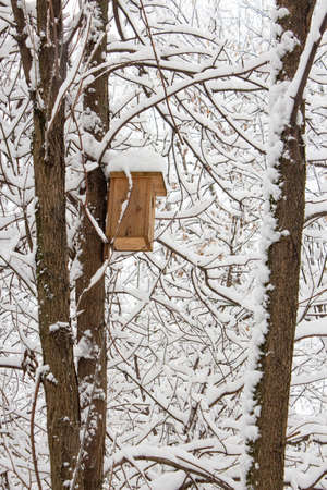 Bird feeder in the winter cold forest