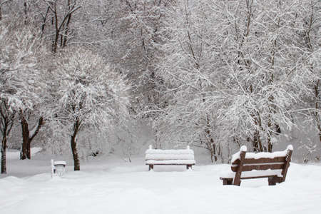 Winter snow-covered deserted park after a huge snowfall