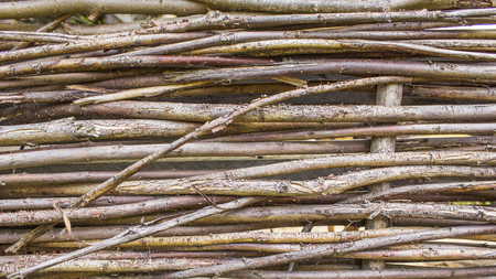 Closeup of a wicker fence. Textureの写真素材