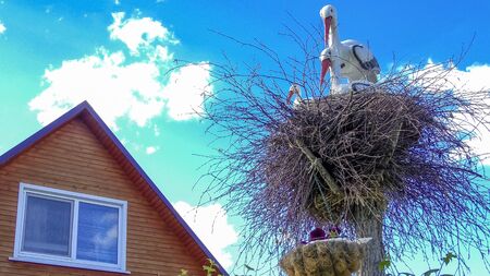 decorative storks in the nestの写真素材
