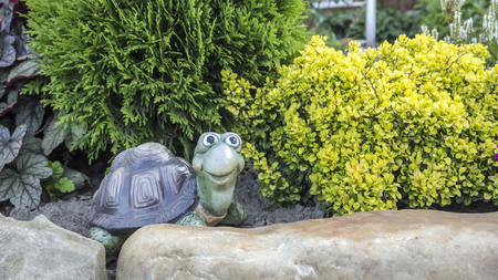 merry faux turtle on a background of shrubs arborvitae and barberryの写真素材