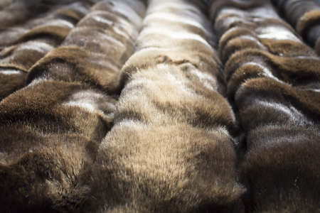 Brown faux or artificial fur. Textureの写真素材