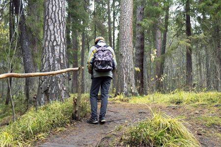 boy walking alone in green forest