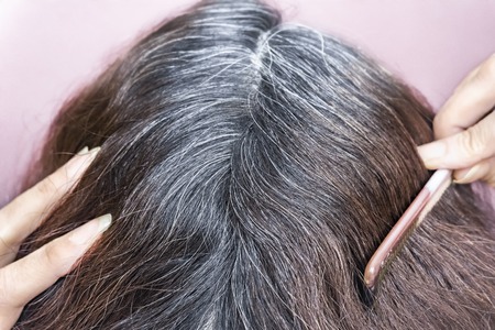 Going gray. Woman shows her gray hair roots. Close up