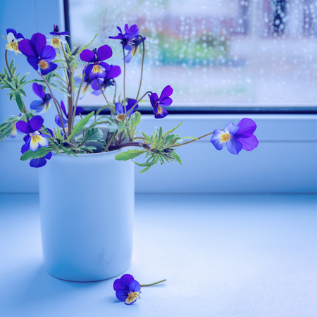 Bouquet of wildflowers on the windowsill. Blue flowers pansies. Toned imageの写真素材