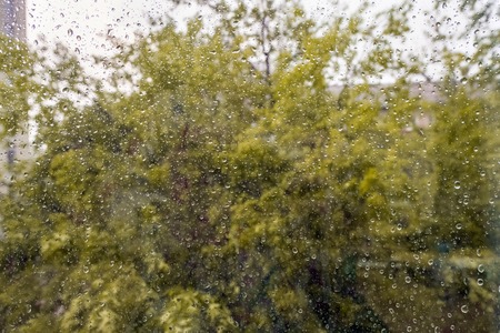 Wet home window with raindrops. Trees behind a wet windowの写真素材