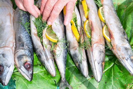 Fish mackerel filled with lemon and dill for cooking outdoorsの写真素材