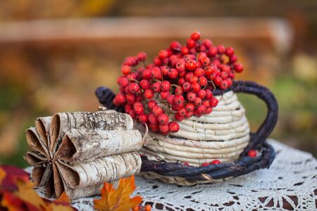 Autumn garden decor with rowanの写真素材