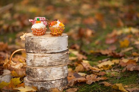 Autumn cupcakes on the stumpsの写真素材