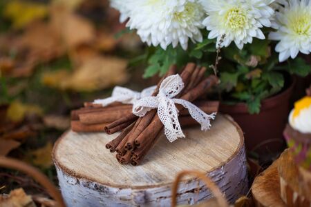 Autumn garden decor with fllowers and cinnamon