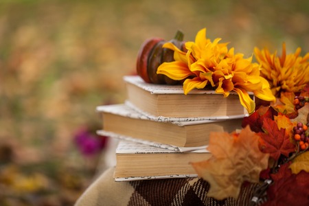 Autumn garden decor with flowers, pumpkin and booksの写真素材