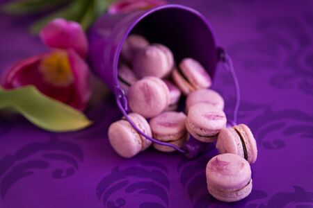 Handmade violet macaroons with black currants cream in pail on violet backgroundの写真素材