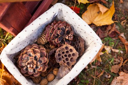 Seasonal decorations in jars, choco bars, sweet treats, candle. Sweet picnic in autumn park