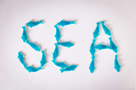 Word SEA with jelly fish candies on a white backgroundの写真素材