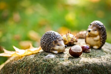 Autumn park detailsの写真素材