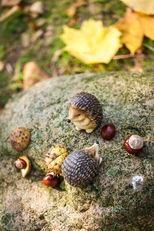Autumn park detailsの写真素材
