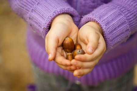 Chestnuts in childs hands